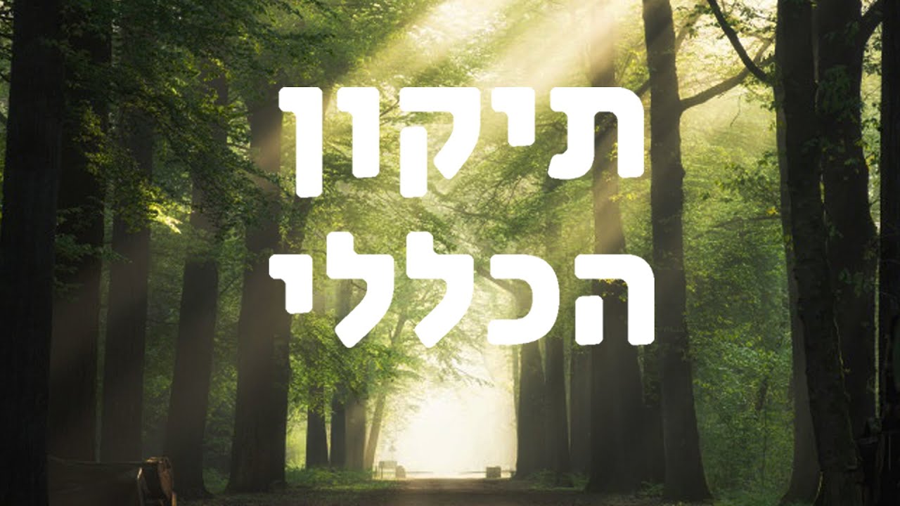 תיקון הכללי בשפה ברורה ונעימה בפחות מ20 דקות