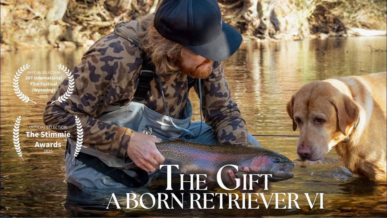 Why Dogs Mean So Much — Fly Fishing for Monster Trout with Riggins  | A Born Retriever 6