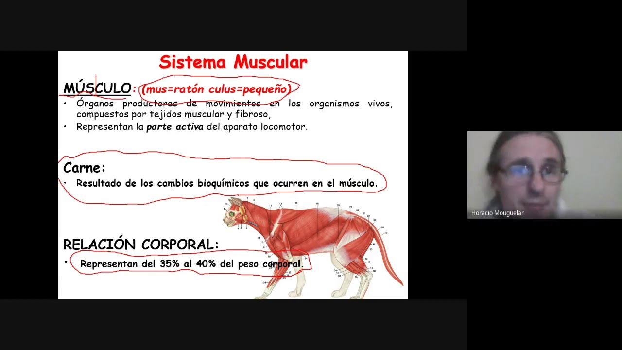 Clase Generalidades de Miología, parte 1
