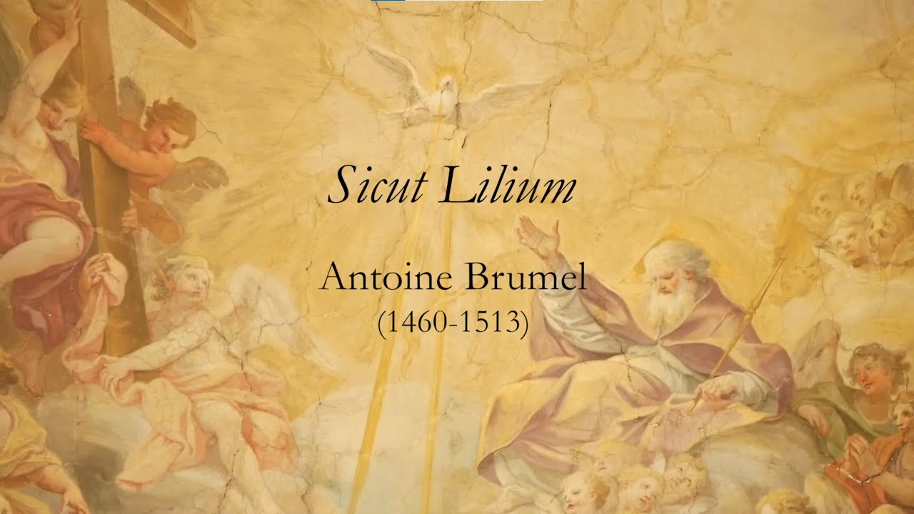Antoine Brumel • Sicut Lilium • Roma Vocal Ensemble