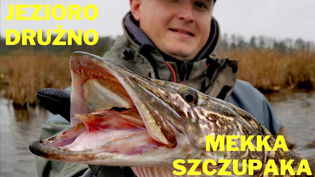 Jezioro Drużno - mekka szczupaka / vLoG13
