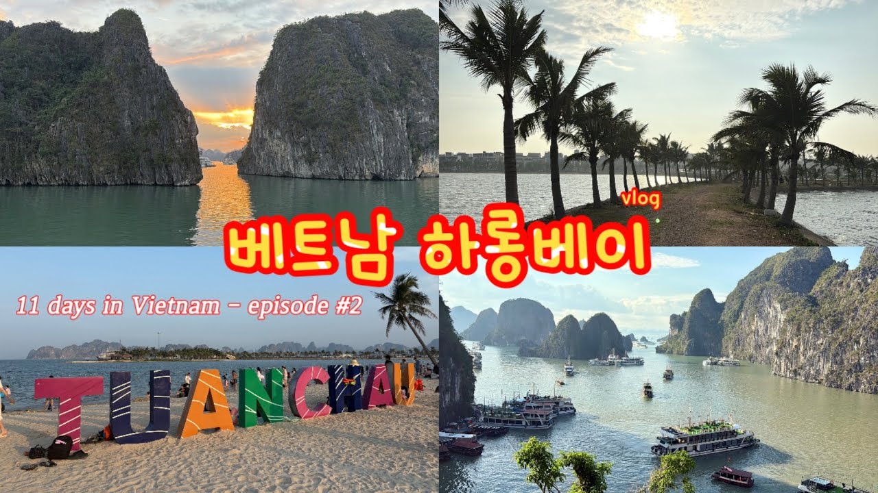 베트남 하롱베이 여행 | 인생 맛집 😍 | 하롱베이 당일 크루즈, 5성급 크루즈 투어🤪 바이짜이, 홍까이, 투언짜우섬 | vexere 리무진 후기 | 연휴에 가면 생기는 일 😱