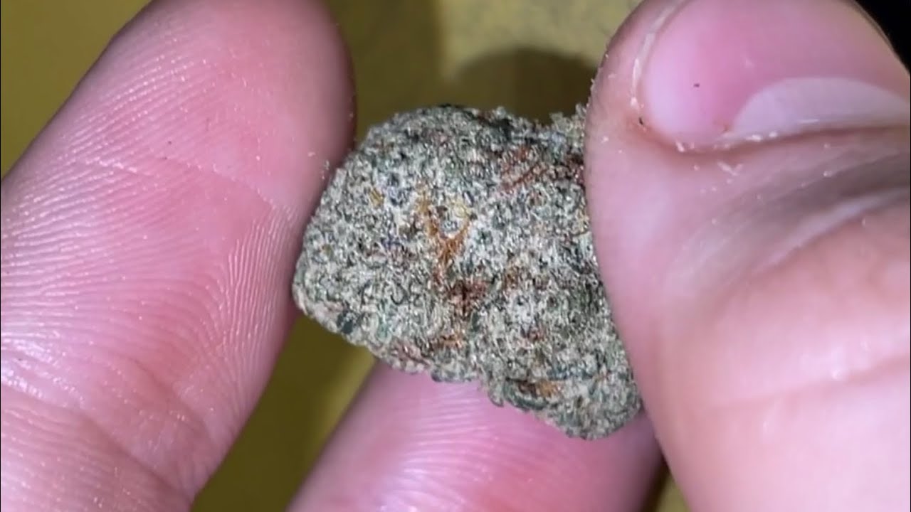 MAC Strain Review!
