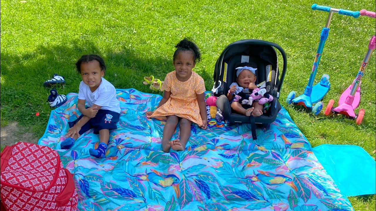What I Do With My Children| Mother Of 6 Picnic In The Park With My Toddlers & Infant