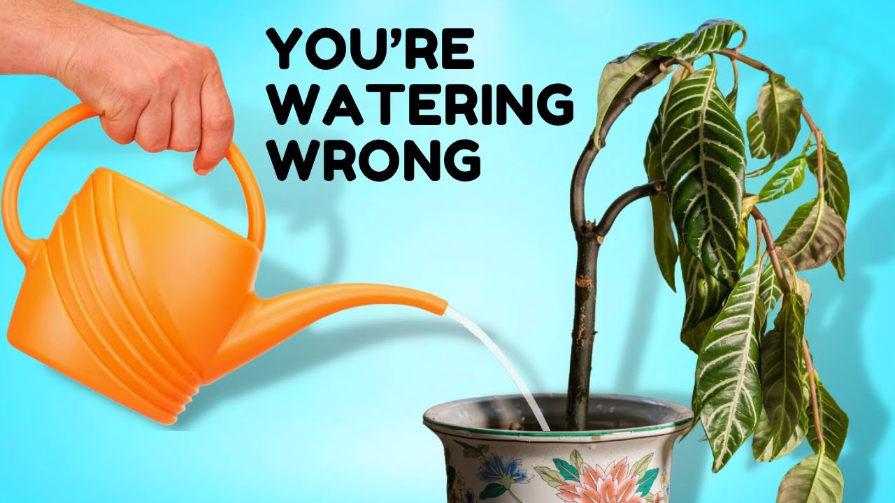 10 важных советов по поддержанию здоровья растений