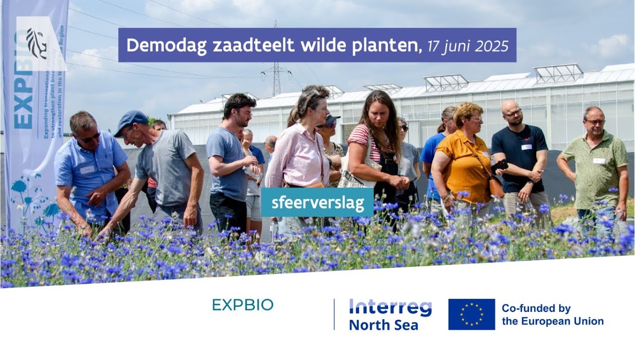 Demo zaadteelt wilde planten - Interregproject Expbio (17 juni 2025)