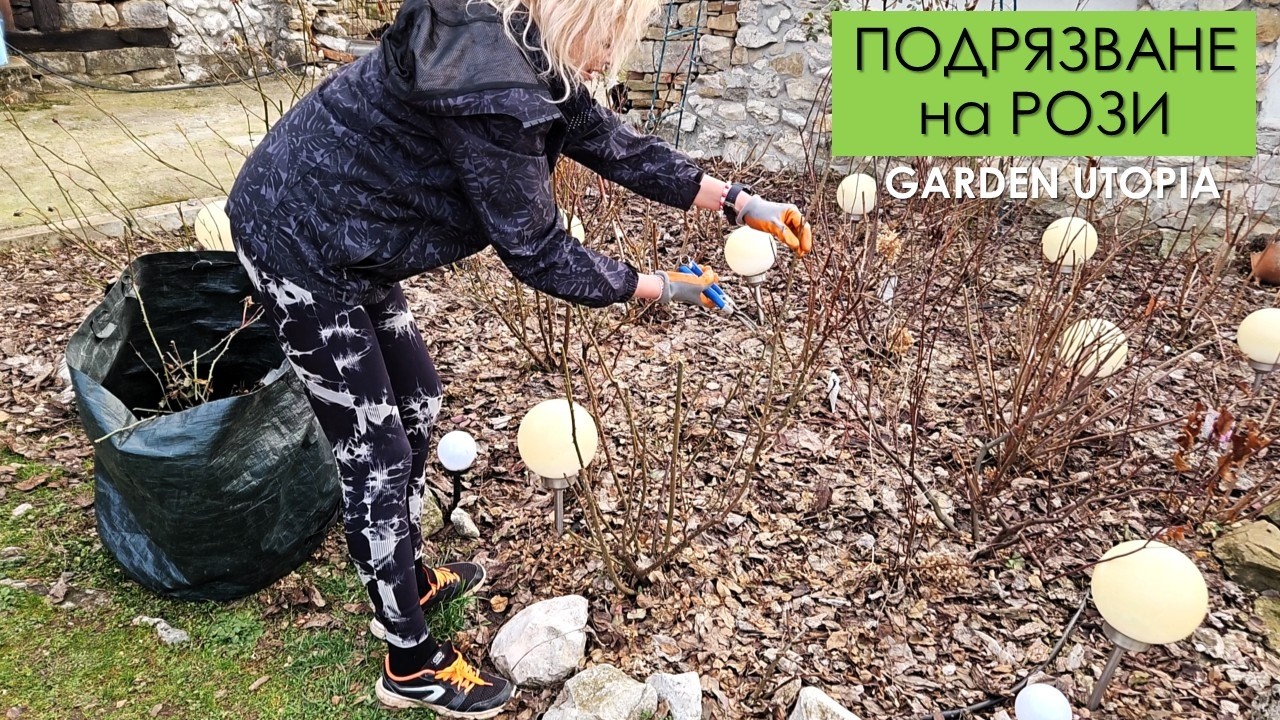 Пролетна РЕЗИТБА на РОЗИ | Garden Utopia