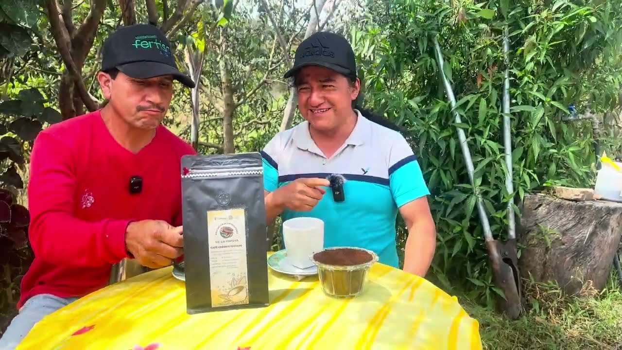 Secretos para obtener un café de buena calidad./Caminos de Luchito
