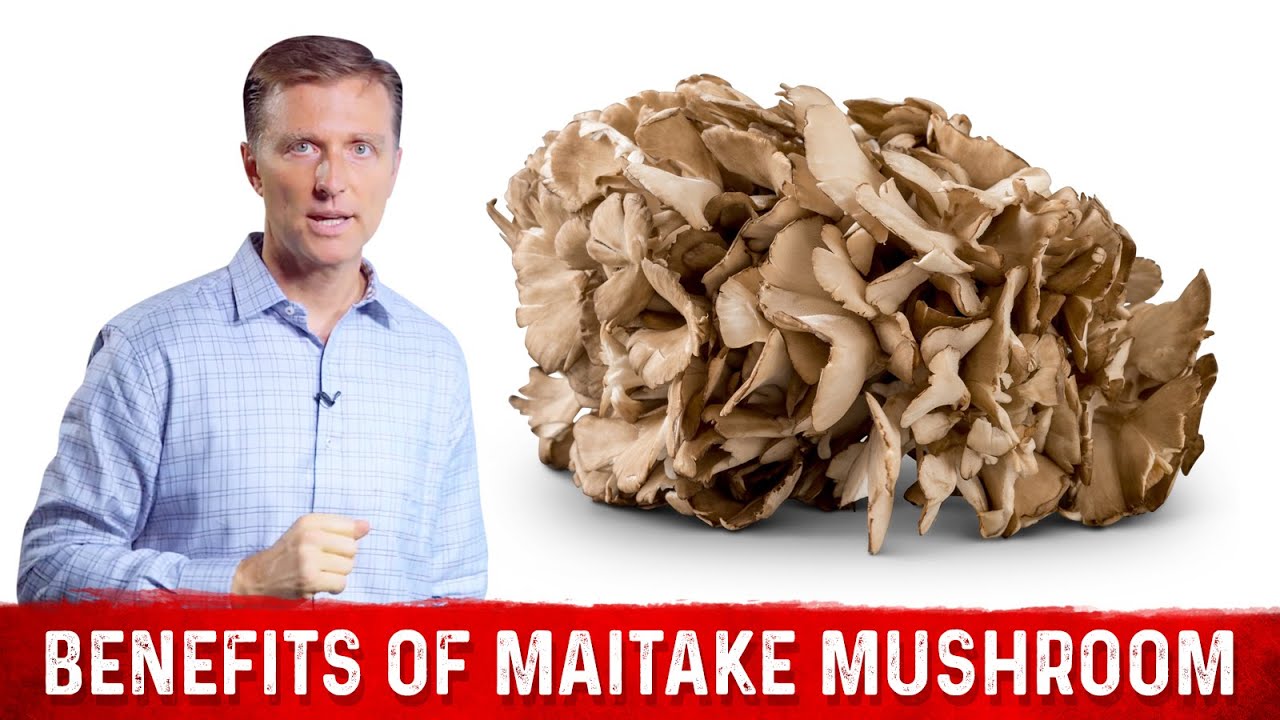 Amazing Health Benefits of Maitake Mushroom &ndash; Dr.Berg