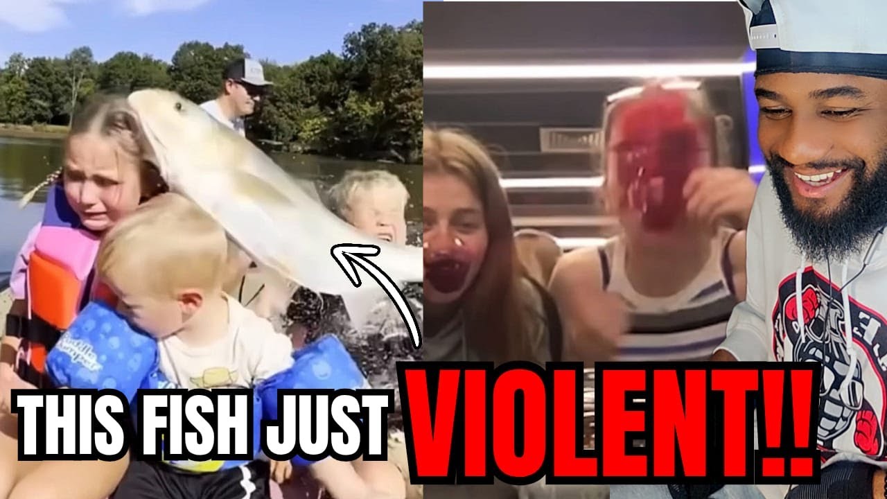 The Funniest Videos on the Internet (Try Not To Laugh) Part 3
