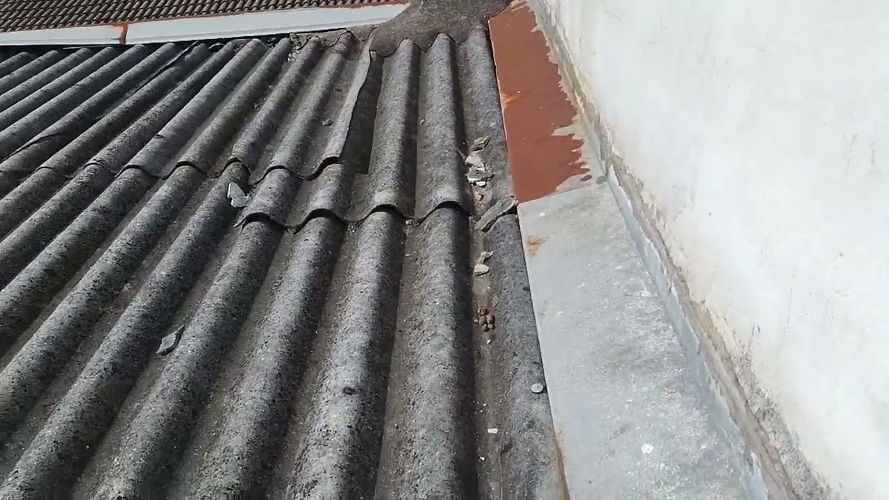 Apresentando telhado que tem infiltração não localizada