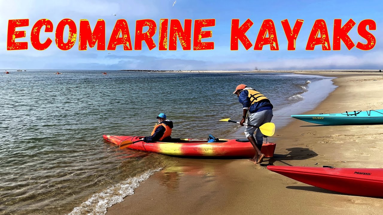 Pelican Point tour with Ecomarine Kayak Tours, Walvis Bay, Namibia, Africa
