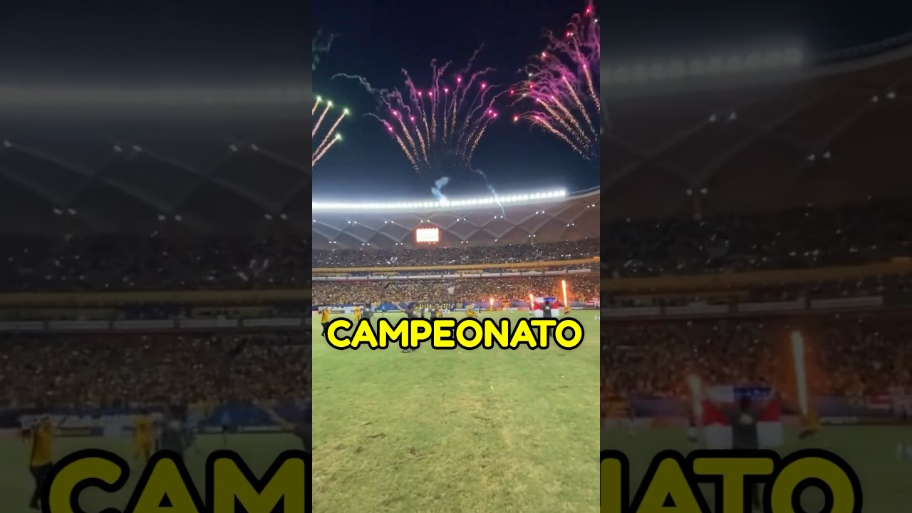 Amazonas FC: S&eacute;rie B em 4 Anos 🔥 #amazonasfc #futebol #futebolbrasileiro #campeonatobrasileiro