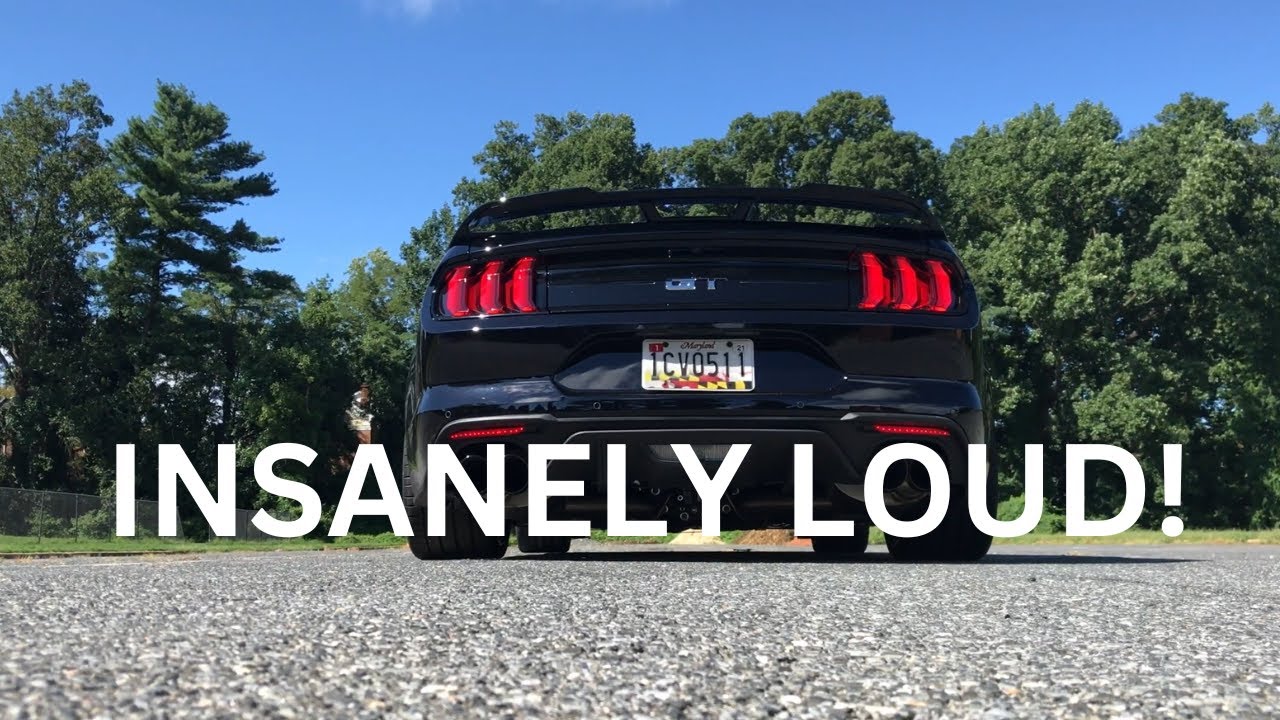 Ford Mustang Cold Starts COMPILATION!