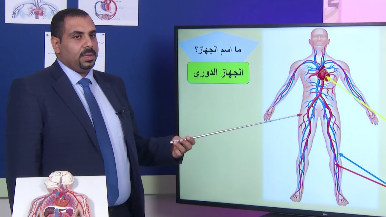 الصف السادس   التربية الخاصة   العلوم   الجهاز الدوري   الجزء الأول