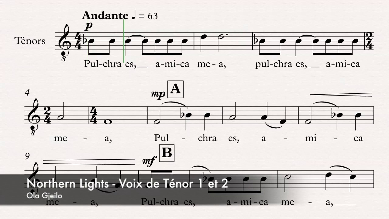 Gjeilo, Ola - Northern lights - Guide voix - Ténor