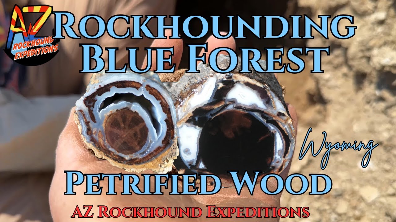 Rockhounding Blue Forest for Petrified Wood Wyoming!