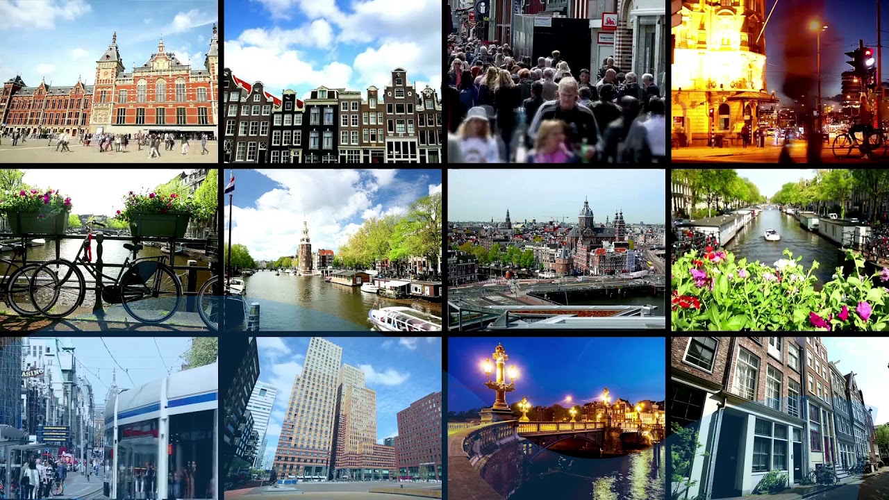 North Bus z adresu pod adres door to door