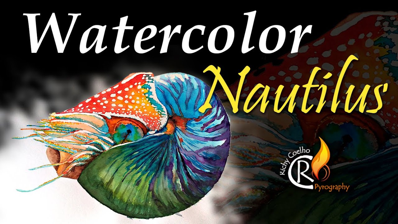 Nautilus – Watercolor process