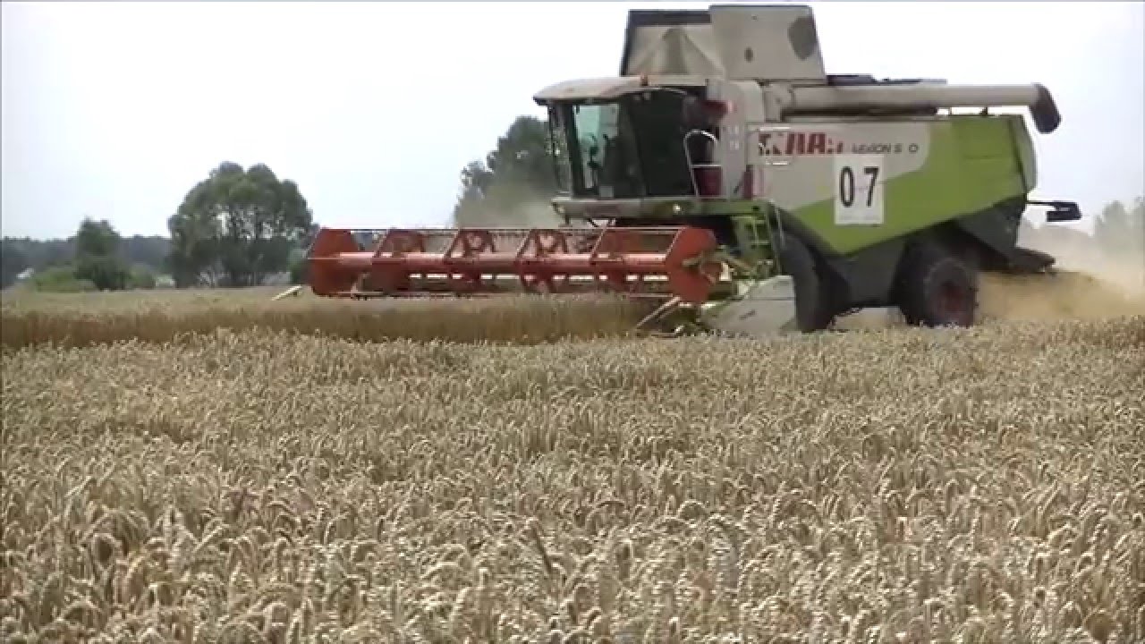 Żniwa,Big Harvest in Europe  ,урожай 2015 Ukraine Claas Lexion 670,550,480 🇺🇦🇺🇦