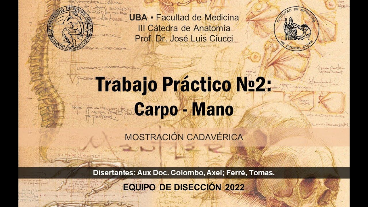 Mostración Cadavérica 202 - Carpo y Mano