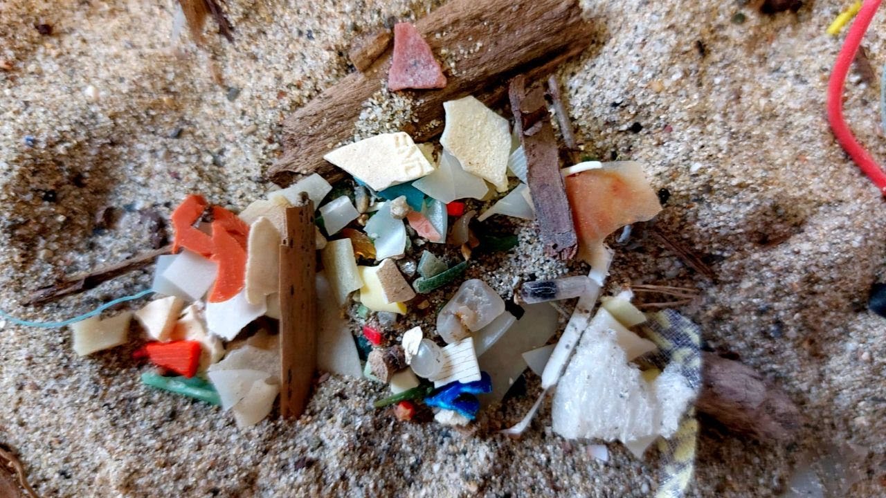 4 domande su... le microplastiche