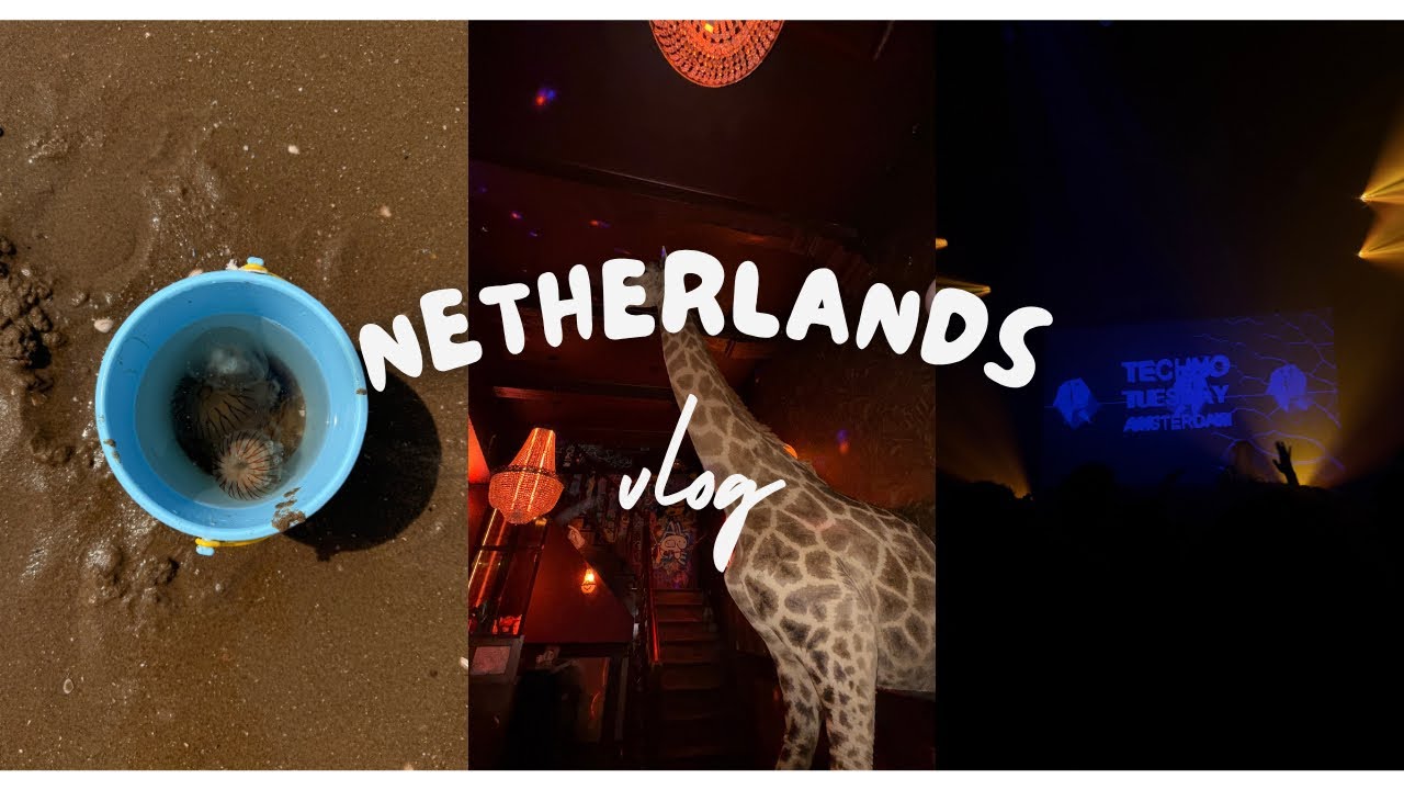 Everything I saw in the Netherlands (plus more?) 