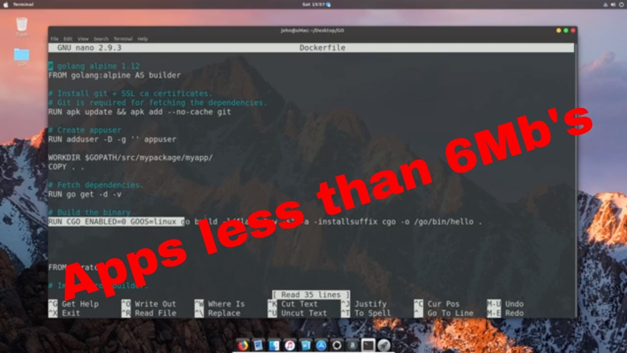 How to run GO from scratch docker containers