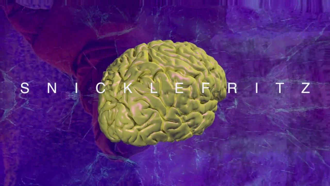Snicklefritz - Nu Lite (Official Video)