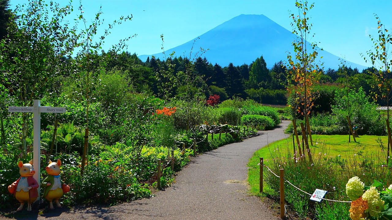 Is this free?! Peter Rabbit English Garden with Mt. Fuji!