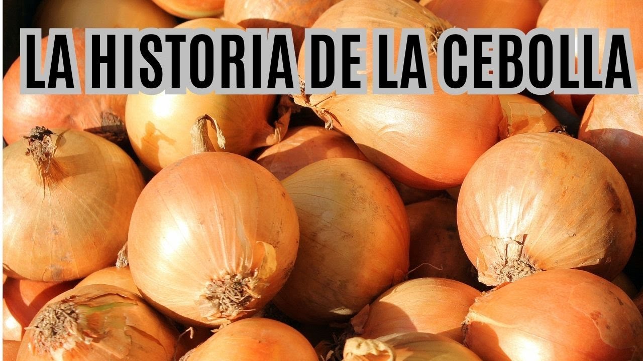 LA HISTORIA DE LA CEBOLLA