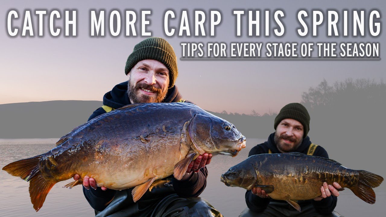 Spring Carp Fishing Tips and Tactics | Wyreside Sunnyside Two | Rigs, Location and Bait | 2022