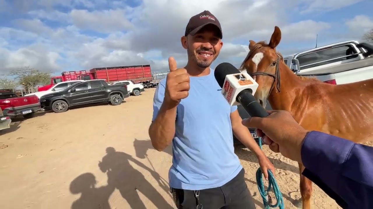 Cavalos de 200 Reais em Senador Rui Palmeira - AL 27 - 01 - 2026 #nordeste
