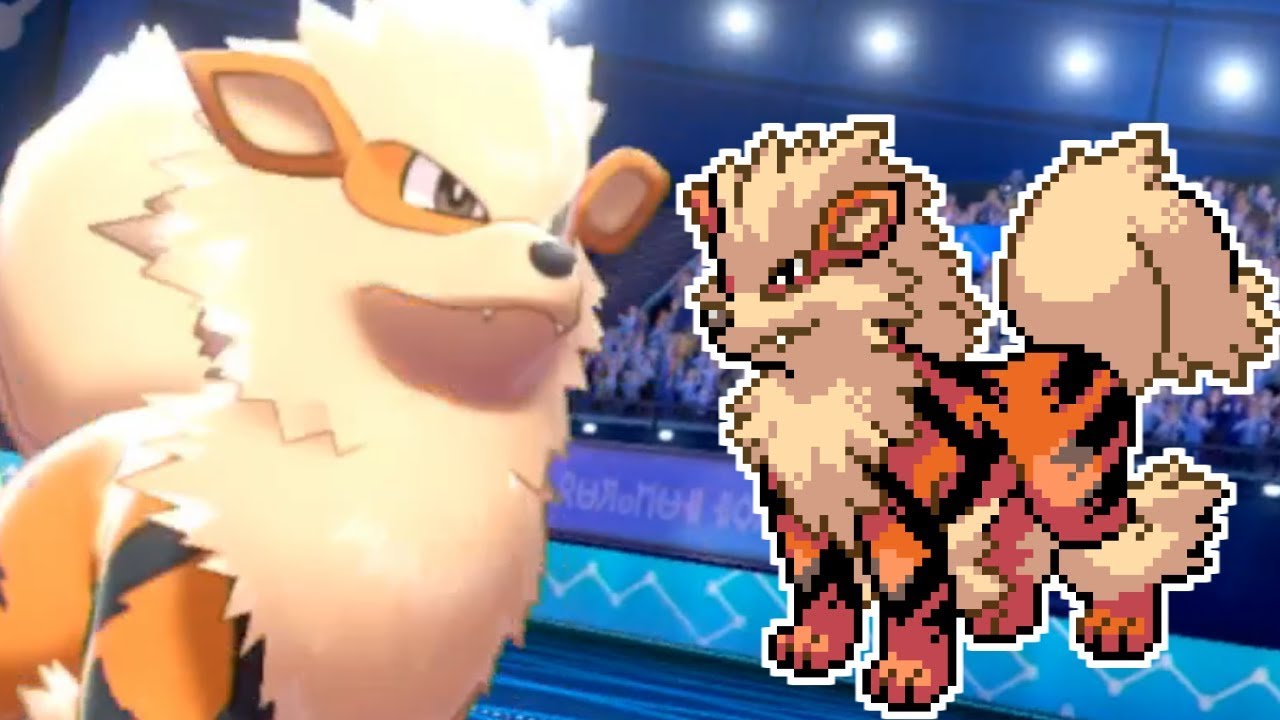 わんちゃん、今年最後の動画です【ポケモン剣盾】
