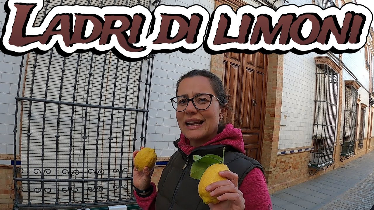 RUBIAMO I LIMONI...MA COME SIAMO MESSI??????