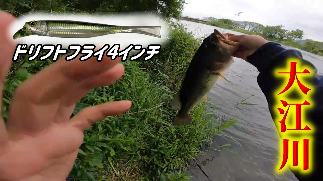 ジャッカルのドリフトフライ4インチが釣れる【大江川バス釣り】
