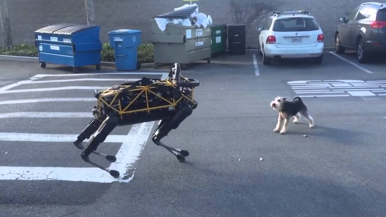 La pensée algorithmique