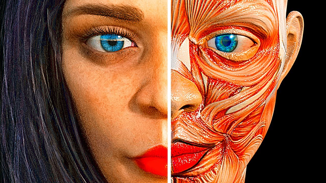 Come Funziona Il Tuo Viso - Con Incredibili Dettagli In 3D