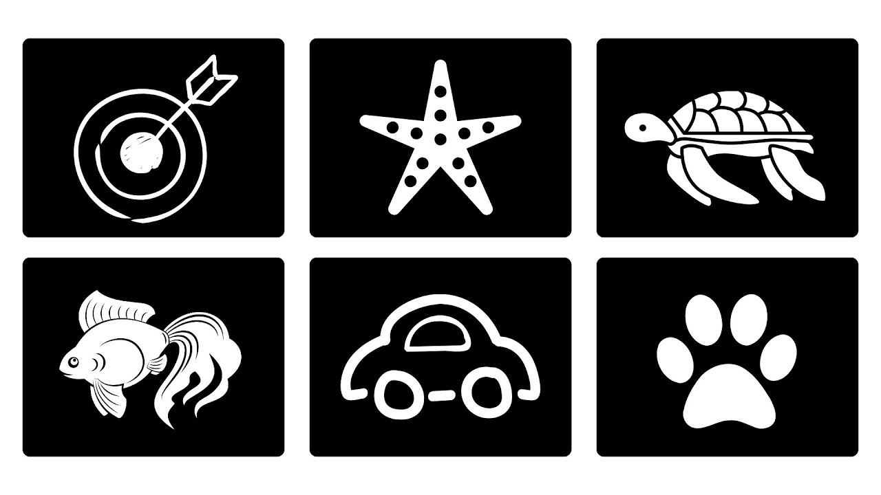 Baby Sensory | High Contrast Black & White Baby Flashcards | Newborn Visual & Brain Development