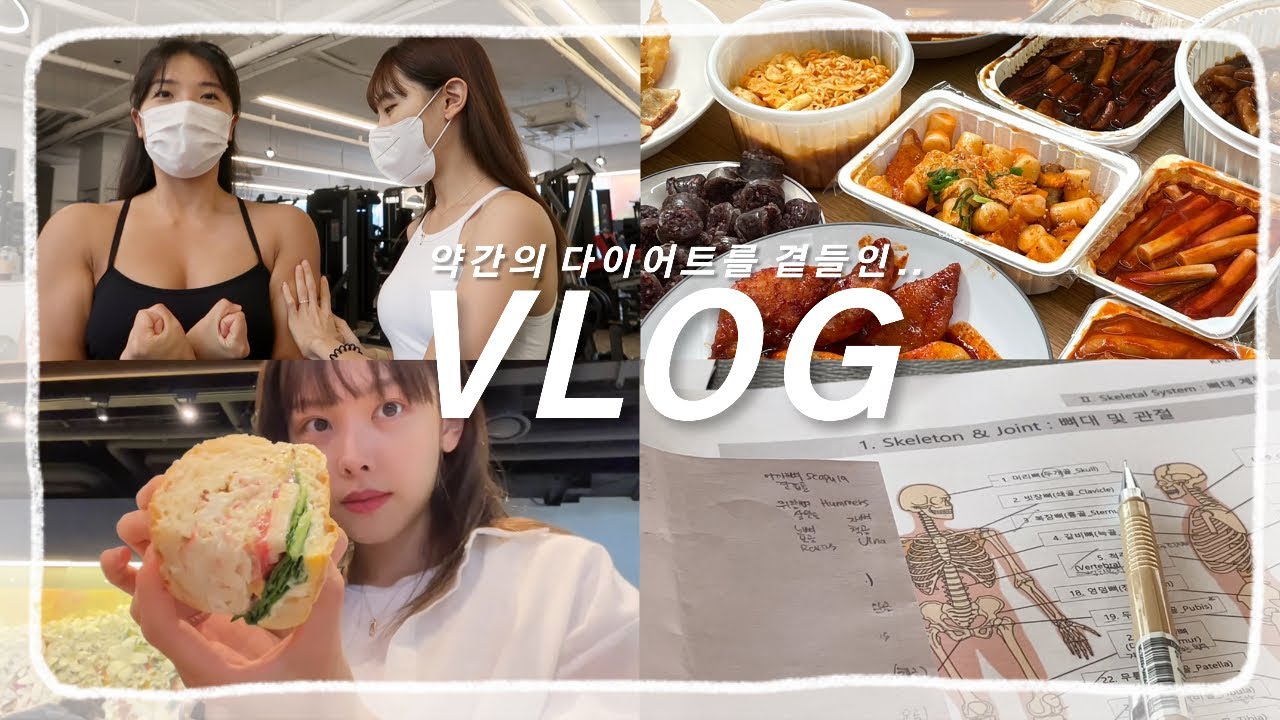 [VLOG]소소하게 떡볶이 파티를 시작으로.. 다이어트하는 유지어터 일상브이로그ㅣ순수빈씨에게 엉덩이 털림ㅣ필라테스지도사과정 🧘🏻‍♀️