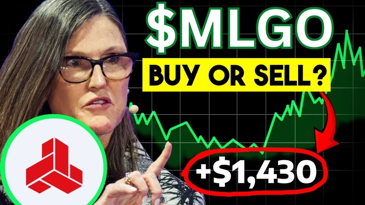 MLGO Stock MASSIVE NEWS!? (Thank Me Later Bro) MicroAlgo