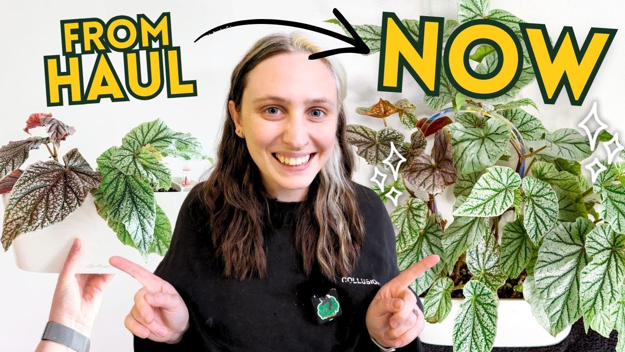 Remember These Plant Hauls? 🪴 How My 2025 Plants Are Growing Now