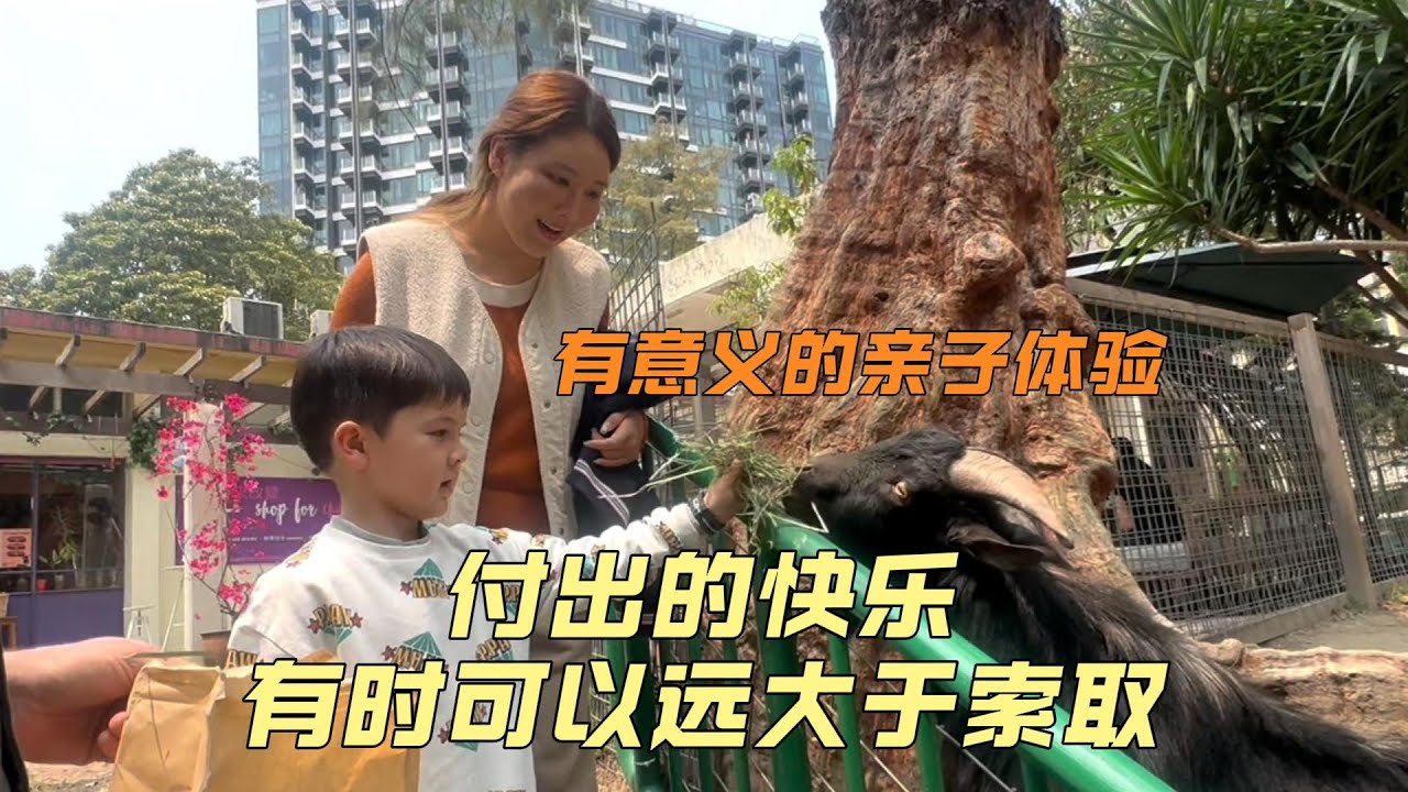 当城市孩子还在挑玩具时，带6岁混血儿子却在香港经历了一场震撼心灵的成长课！