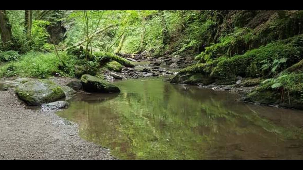 Tour 6 - Ehrbachklamm an der Mosel mit Komoot.