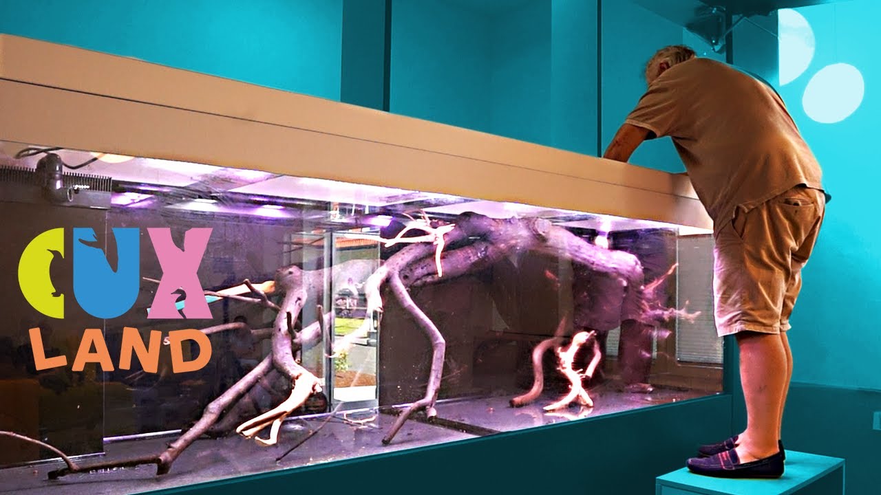 2000Liter Nature Style Tank - AQUASCAPING IDEAS