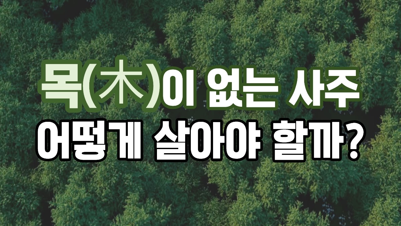 목(木)이 없는 사주, 반드시 알아야 할 특징과 개운법
