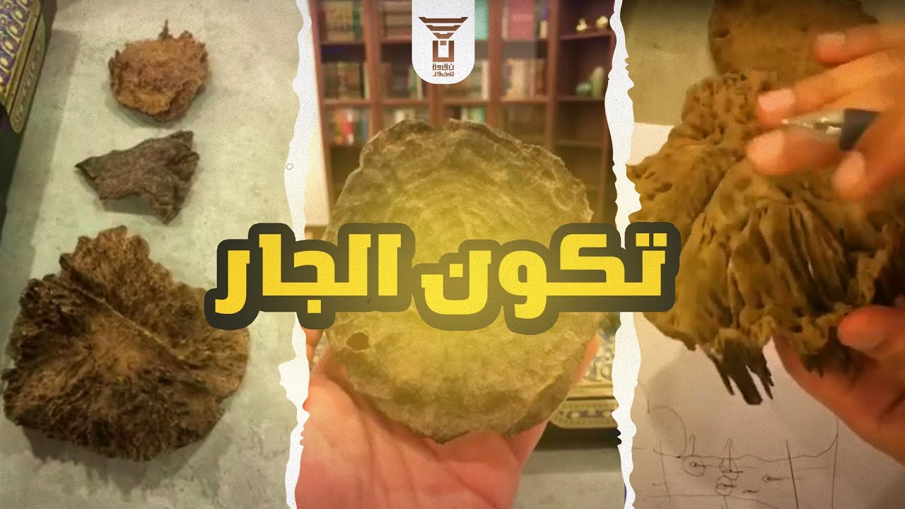 كيف يتكون العود الجار ؟!