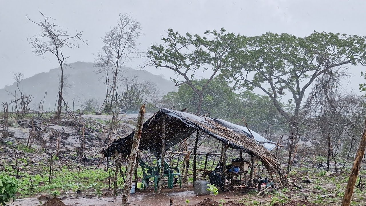 MANHÃ DE TEMPORAL DE CHUVA 🌧 FORTE NA ROÇA DO ZEZINHO FOI DE FAZER MEDO A CHUVA ALAGOU TUDO 😱