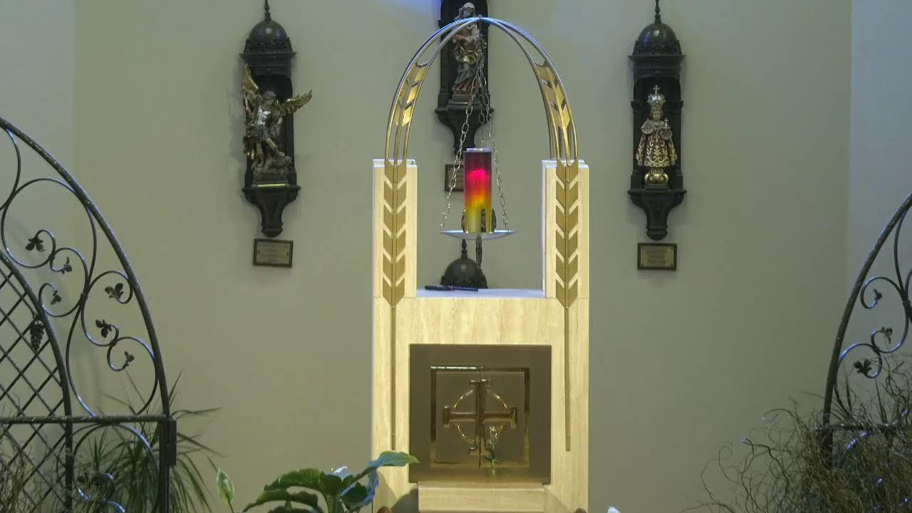 Livestream Mass February 25, 2026