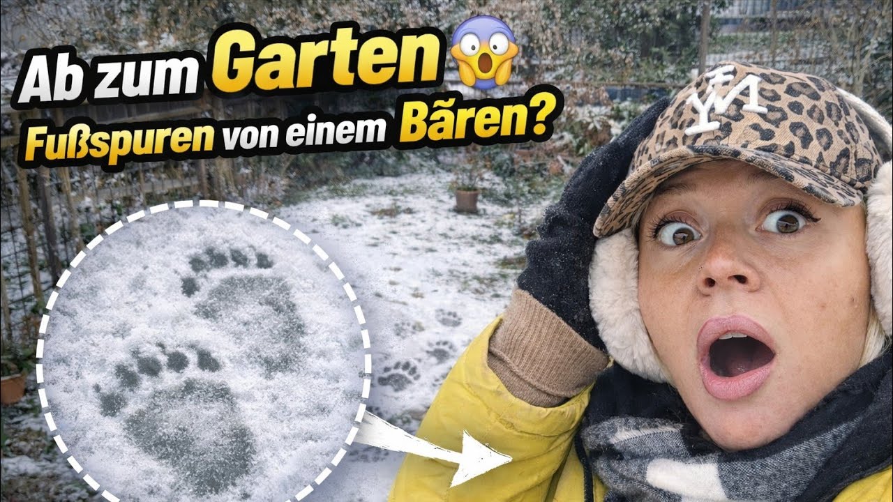Im Schrebergarten chillen 😍🫢Was sind das für seltsame SPUREN🐾😱 Nats Lifestyle 